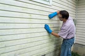 Best Vinyl Siding Installation  in Enon, VA